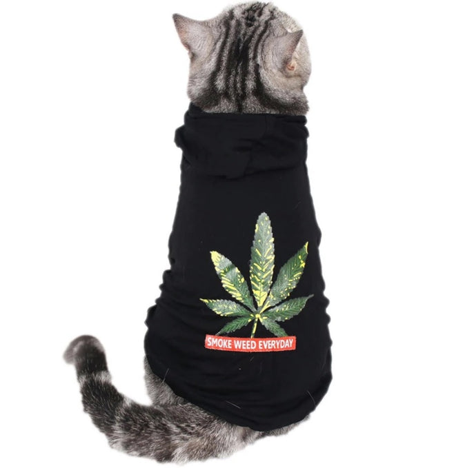 https://www.thepurrfectcatshop.com/cdn/shop/articles/Hemp_Leaf_Cat_Sweater_for_Cats_345x345@2x.jpg?v=1652342258