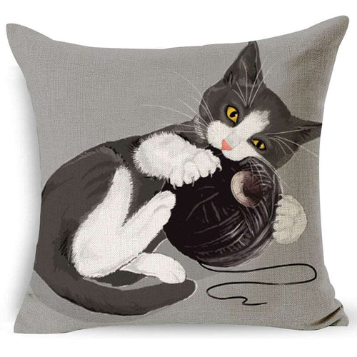 a black and white cat with a baseball glove 