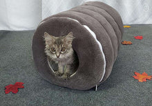a cat that is laying down on a rug 