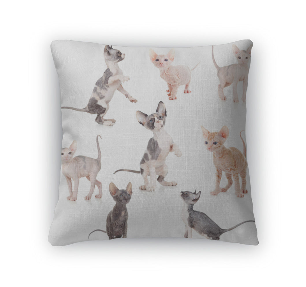 Throw Pillow, Hairless Canadian And Don Sphynx Kittens Set