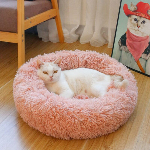 Plush bean bag fluffy cat beds