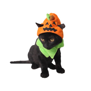 Pumpkin Head Cat Costume