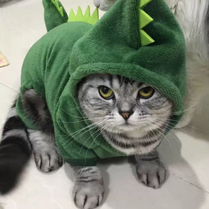 Plush Dinosaur and Bumble Bee Cat Costume