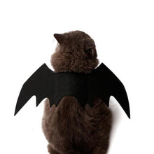 One size fits all cat Bat winged costume