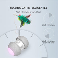LED Interactive Cat Toy