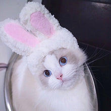 Rabbit Ear Adjustable Velcro Head Dress for Cats