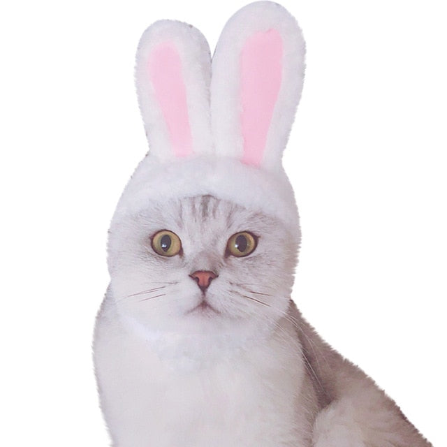 Rabbit Ear Adjustable Velcro Head Dress for Cats