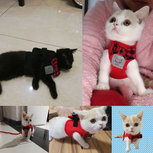 Red or Black Cat Shirt with Checkered Bowtie and Harness