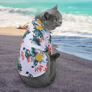 Check out the Cool Cat Tropical Cotton Shirt