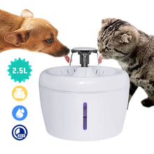 2.5L Automatic Cat Fountain Water Drinking Feeder Bowl Pet Dog Cat Water Dispenser Mute Automatic Drinking Fountain Electric USB