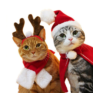 Christmas Holiday Cat Outfits
