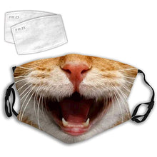 Reusable  and Washable 2 piece carbon filter Cat Printed  Mask