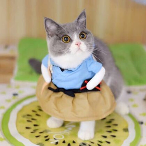 a cat is sitting on top of a toilet 