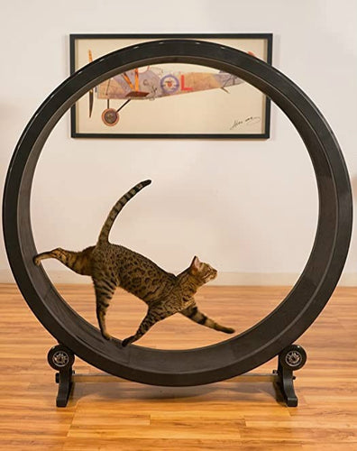 Feline Exercise Treadmill with Climbing Feature