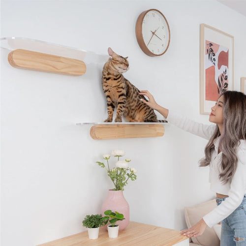 Transparent large wall-mounted solid wood cat climbing frame cat scratching board toy cat litter cat tower combination platform