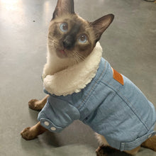 Warm Cotton Collar Pet Cat Clothes For Cats Winter Denim Cat Coat Jacket Thicken Gatos kedi Mascotas Clothing Ropa Para Gato