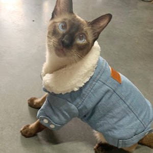 Winter Cat Coat 