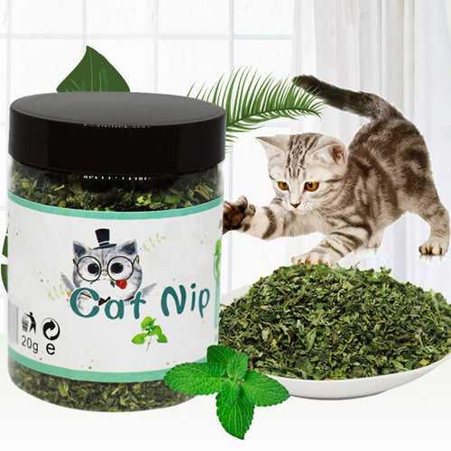 Organic 100% Natural Premium Catnip Cattle Grass 10g/20g/30g Menthol Flavor Funny Cat Toys Pet Healthy Safe Edible Treating