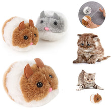 Choose from an assortment of fuzzy mice toys.