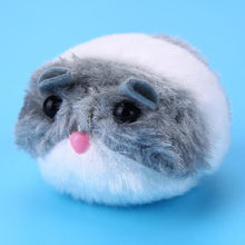 Choose from an assortment of fuzzy mice toys.