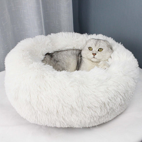 a white dog laying in a white bed 